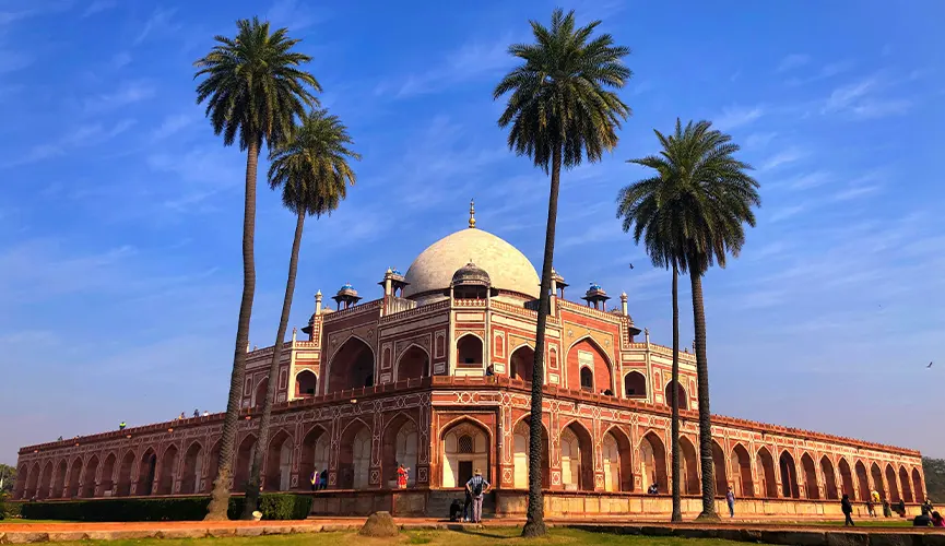 Soul of the North India - Culture, Wildlife & Grandeur