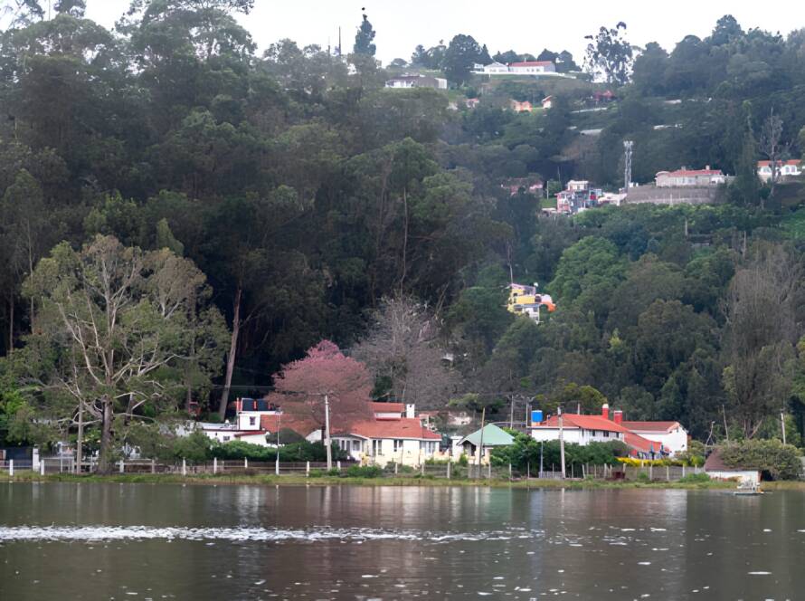 Lakeside cottages and lush forests in Kodaikanal, highlighting natural beauty as one of the Best Hill Stations in India.