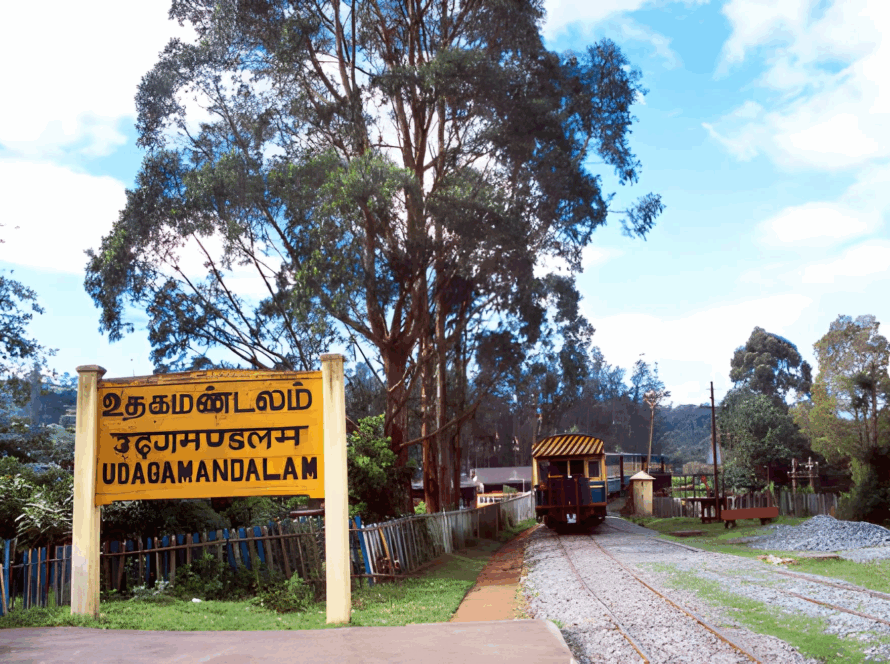 Ooty (Udagamandalam) railway station sign next to tracks with a blue and yellow vintage train and a large eucalyptus tree.