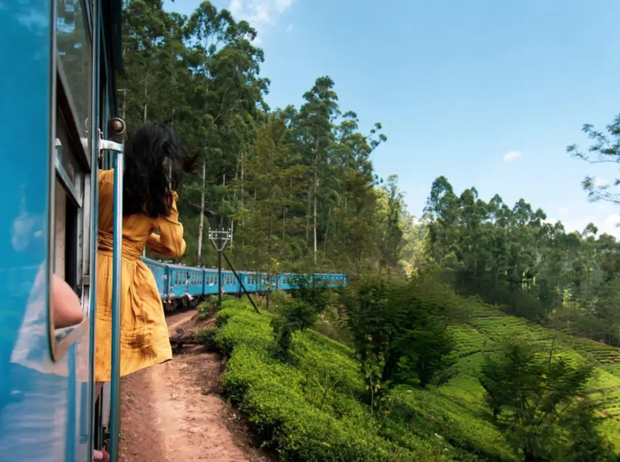 A scenic train ride through the lush green tea plantations of Ella, Sri Lanka, showcasing the natural beauty of South Asian Gems.