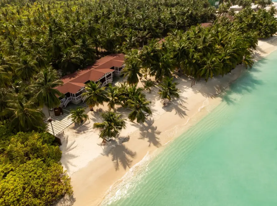 Aerial view of a beach resort surrounded by dense palm trees, white sand, and turquoise clear ocean water in Lakshadweep.