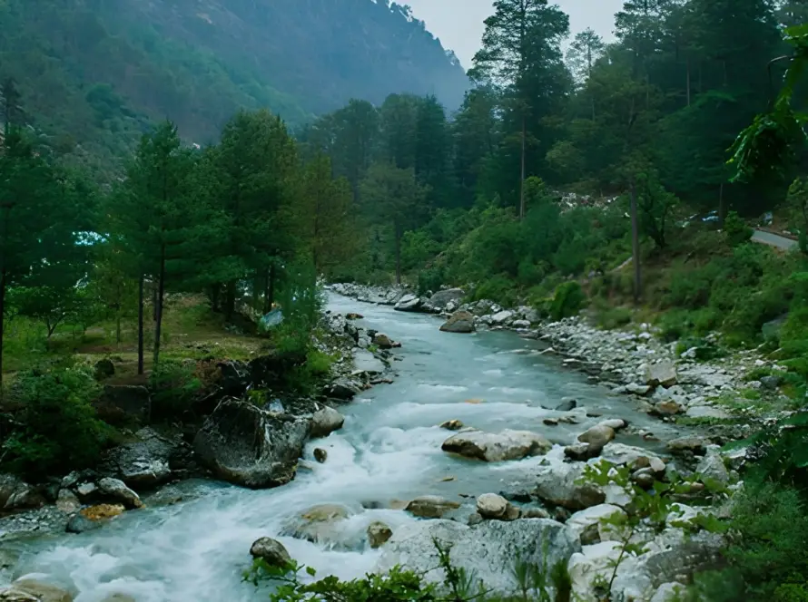 The swift-flowing Tirthan River winding through a lush green valley with dense pine forests in Himachal Pradesh, one of the Underrated Places in India.