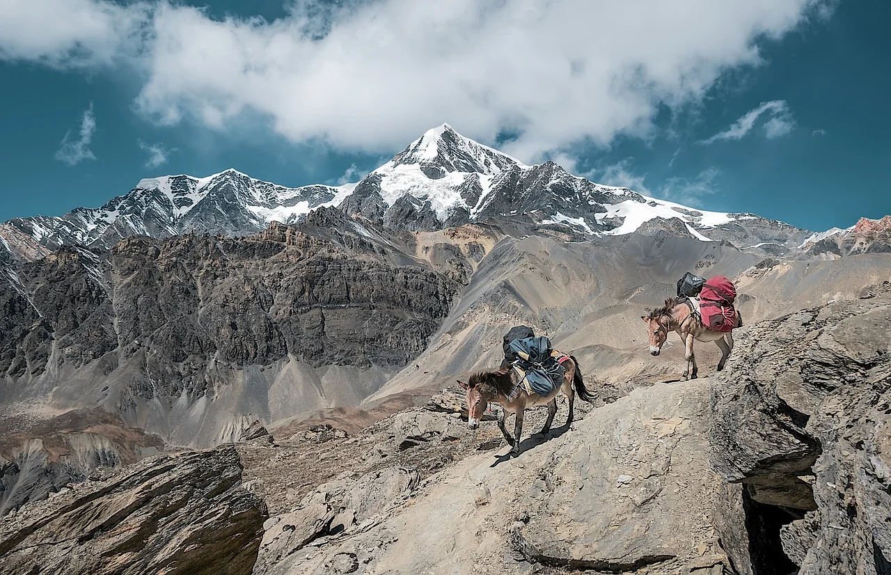 A couple of trekkers walk along a rocky mountain ridge under a clear blue sky, with a massive, jagged, snow-capped mountain range dominating the horizon.